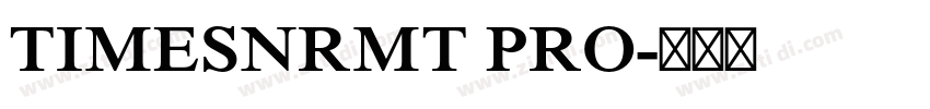 TIMESNRMT PRO字体转换